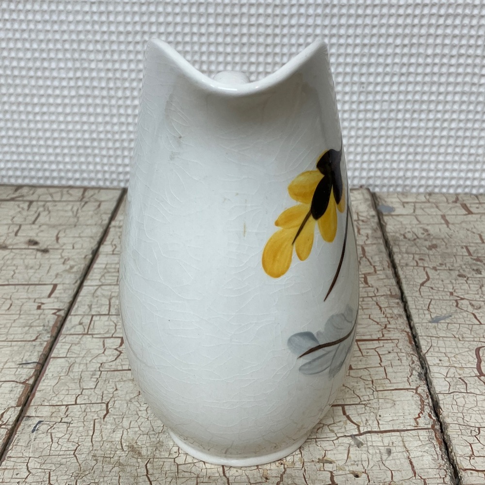 Pitcher - Picture 2 of 7